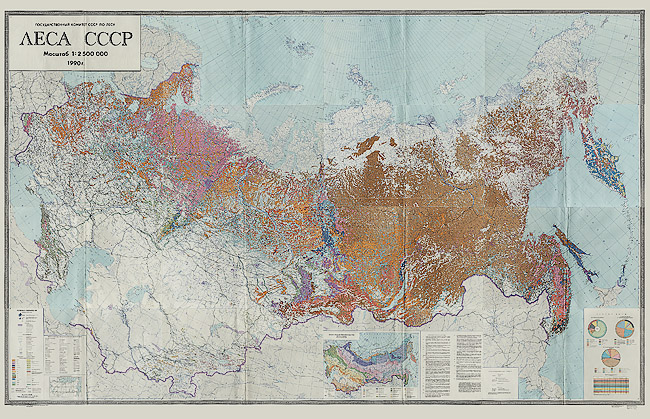 Карта лесов России