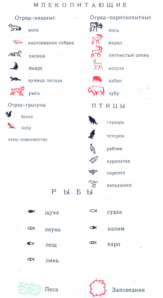 Условные обозначения