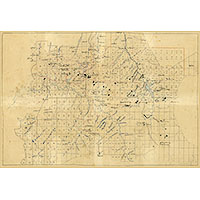 Карта лесной дачи Холуницких заводов 1900 г.