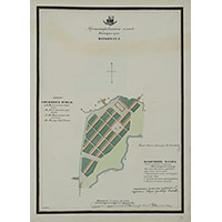 Прожектированный план города Наровчата 1800 года