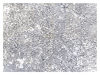 скачать карту