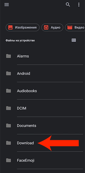 Выбор папки Download в Locus Map для импорта своих карт