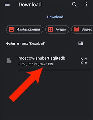 Выбор в менеджере файлов карты sqlitedb для импорта в Locus Map